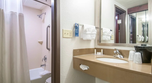 Люкс c 1 комнатой Fairfield Inn & Suites by Marriott Dallas DFW Airport South/Irving