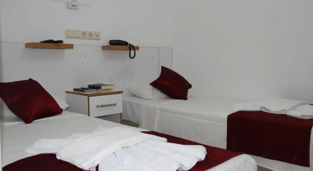 Двухместный номер Standard Aelbistan Otel