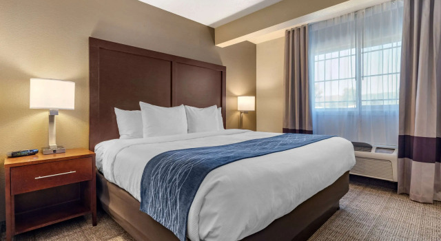 Двухместный люкс Comfort Inn & Suites Ukiah Mendocino County
