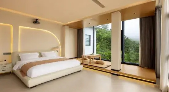 Люкс Anji Xipanju Homestay
