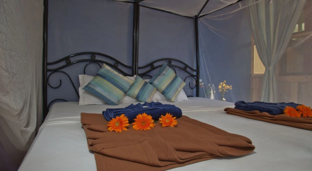 Номер Deluxe с видом на море Cuba Patnem Bungalows