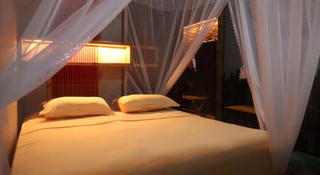 Номер Deluxe Ecolodge Bukit Lawang