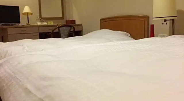 Двухместный номер Standard Nagaragawa Spa Hotel Park