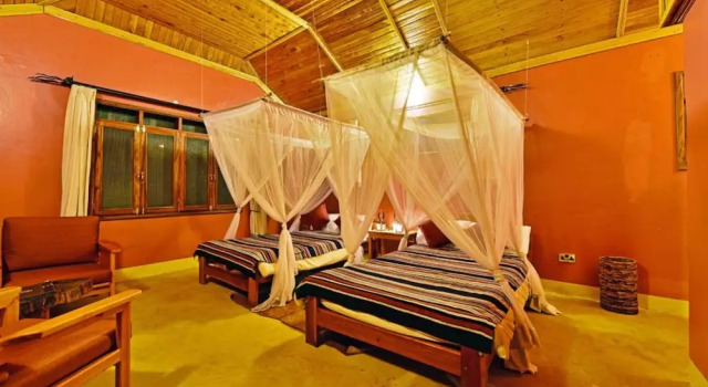 Primate Lodge, Buchen Sie Hotel Nationalparks Westuganda 