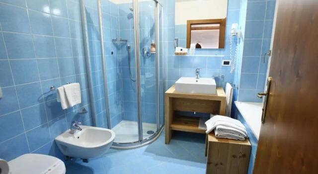 Двухместный номер Comfort Hotel Des Alpes