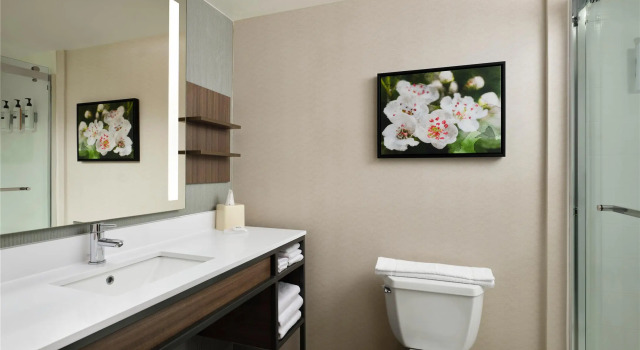 Четырёхместный номер Standard Hilton Garden Inn Jackson-Madison