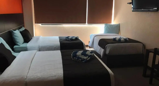 Трёхместный номер Standard Oaxaca Inn Reforma