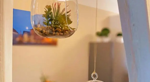 Апартаменты c 1 комнатой Ferienapartment HarzZeit
