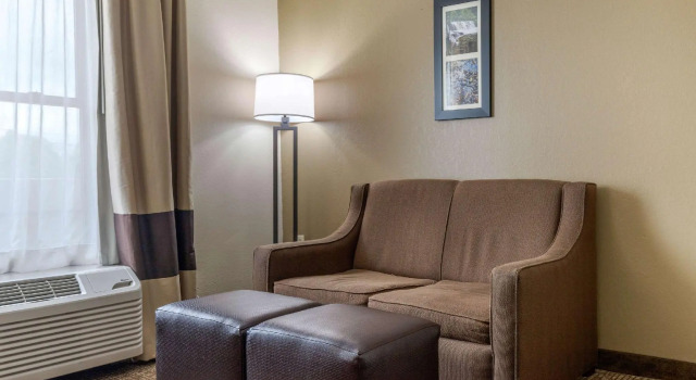 Двухместный люкс Comfort Inn Asheville Airport