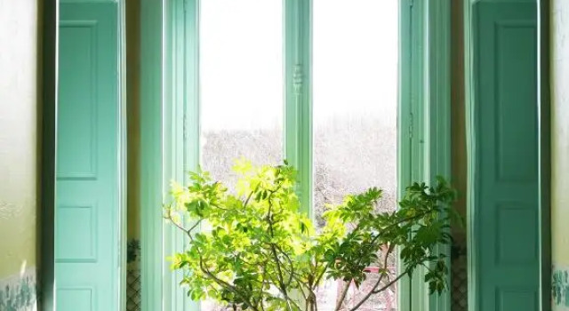 Четырёхместный номер Standard Hotel Saint Jean