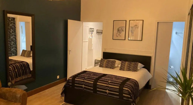 Апартаменты Superior Studio Deschainets - Center of Troyes 200m from the Train Station