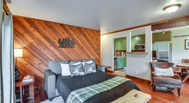 Апартаменты с 2 комнатами с балконом Steamboat Springs Condo Near Ski Resort & Village