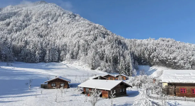 Шале Deluxe с 2 комнатами Chalets&Apartments beim Waicher