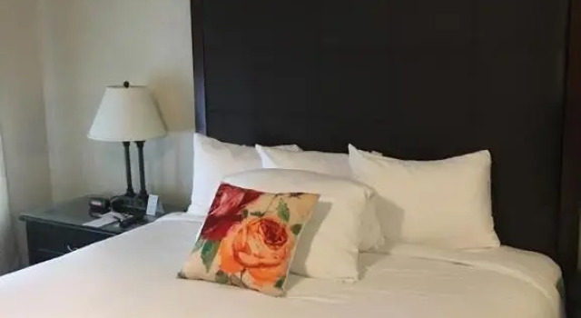 Номер Standard The Waldport Inn