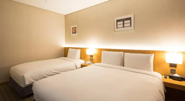 Двухместный номер Standard Sotetsu Hotels The Splaisir Seoul Dongdaemun
