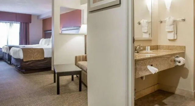 Номер Standard Comfort Suites Atlanta Airport
