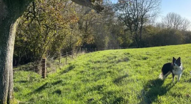 Higher Melcombe Manor, Reserva ahora Hotel Ansty Dorset