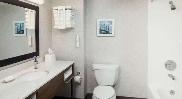 Двухместная студия Hampton Inn & Suites Savannah - I-95 South - Gateway