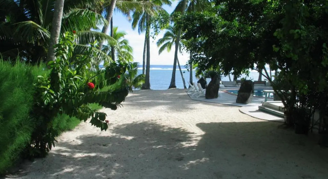 Estudio Estándar Sunhaven Beach Bungalows