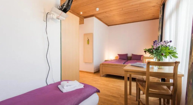 Трёхместный номер Standard Hotel Alpenrose beim Ballenberg