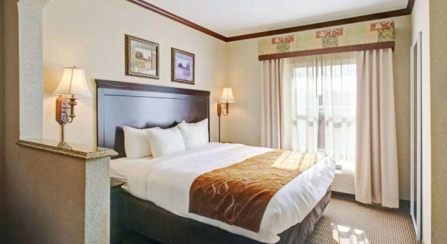 Двухместный люкс Comfort Suites University Drive