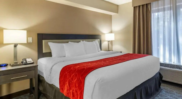 Номер Standard Comfort Suites Alpharetta-Roswell - Atlanta Area
