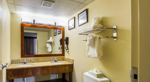 Двухместный номер Standard Comfort Inn Cleveland Downtown