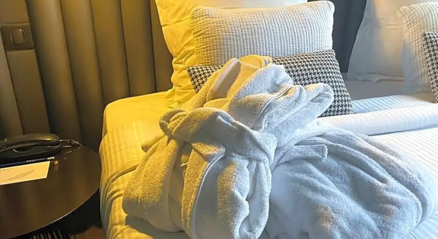 Двухместный номер Deluxe Hôtel Diana Dauphine