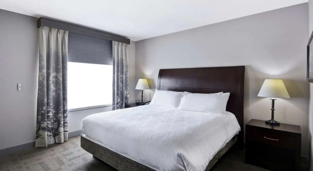 Полулюкс Hilton Garden Inn Toledo / Perrysburg
