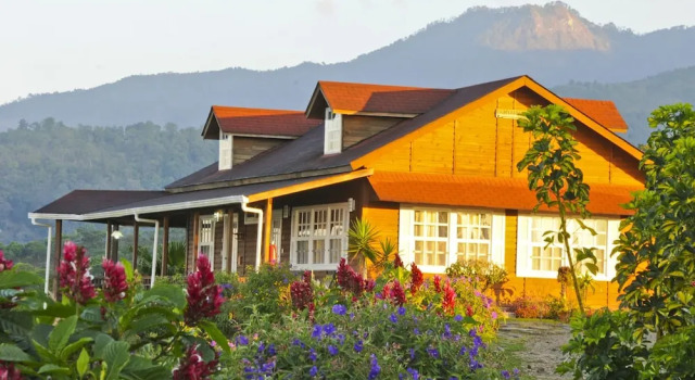Люкс Luxury с красивым видом из окна Finca Hamburgo La Ruta del Cafe