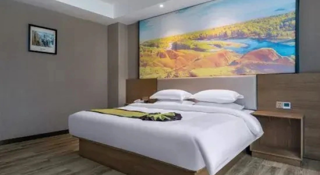 Люкс Business Tuke China Light Residence Hotel (Taishun Huahong Plaza Branch)