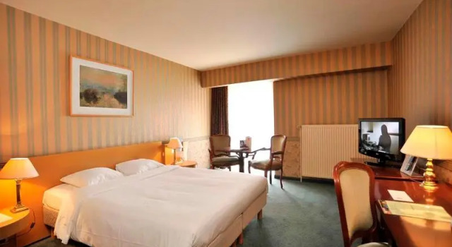 Одноместный номер Standard Golden Tulip Hotel de’ Medici