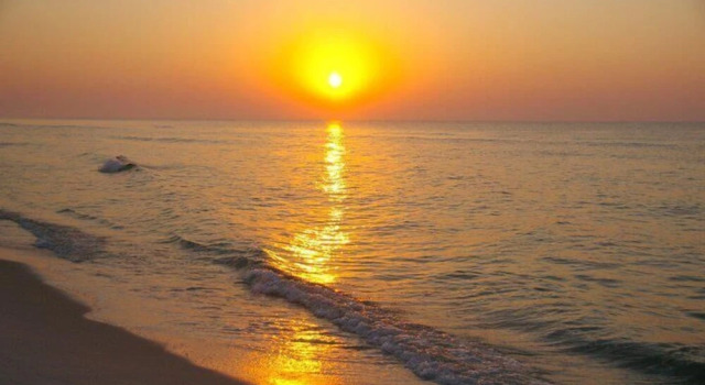 Perdido Key #D14 - 3 Br Condo, Boek Appartement Orange Beach 