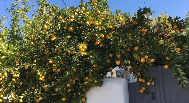Коттедж Garden Village House in Pythagorio-Hora, Samos Island