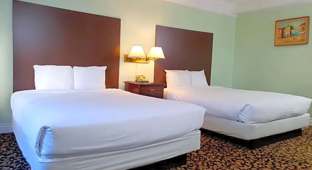 Camera Economy Cloud 9 Inn