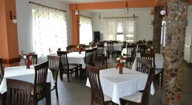 Vila Nico, Rezervovat Hotel Baia de Fier Polovragi