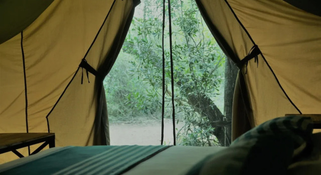 Тент с видом на сад Base Camp Wilpattu