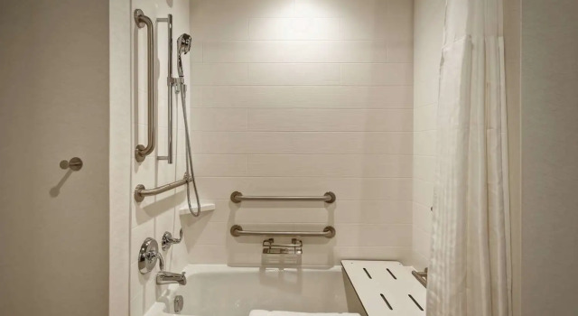 Номер Standard Hilton Garden Inn Lansing West
