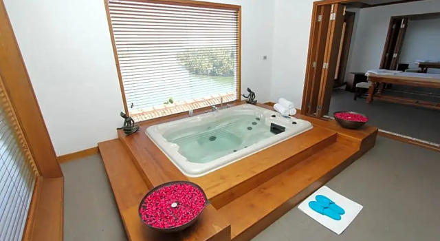 Номер Standard с видом на озеро The Leela Ashtamudi, A Raviz Hotel