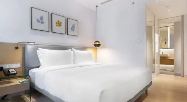 Люкс Premier Sky Mansion Zhengzhou