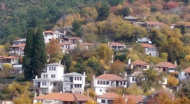 Коттедж House Rodia