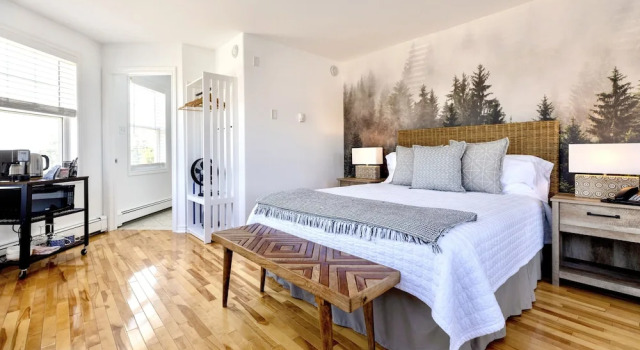 Двухместный номер Standard с видом на океан North Star Beach Suites