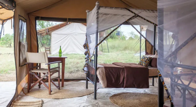 Двухместный номер Standard Gnu Mara River Camp