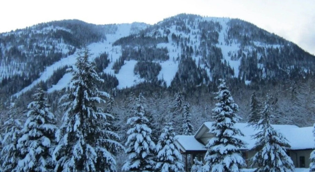 Mountain Town Properties Black Jack's Flat