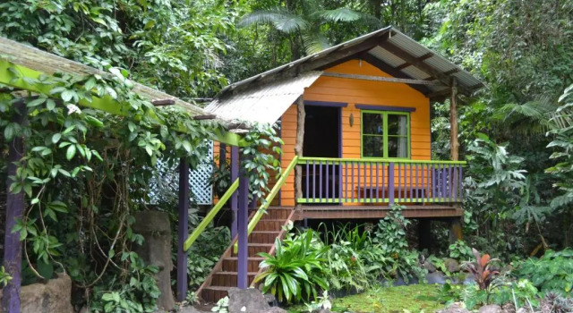 Bungalow med haveudsigt Rainforest Hideaway