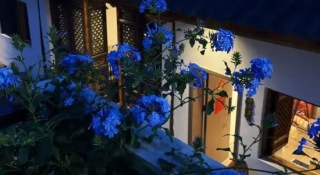Dali Eugene Hostel, Prenota Ostello Dali Yunnan