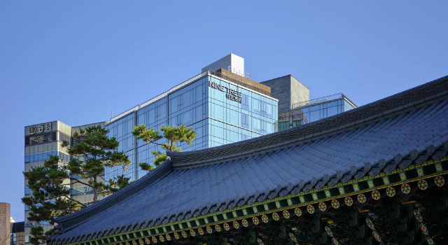 Nine Tree By Parnas Seoul Insadong