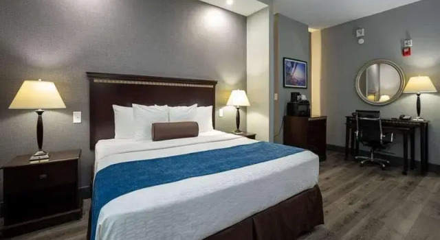 Люкс Цокольный этаж Comfort Suites Seabrook - La Porte - Kemah
