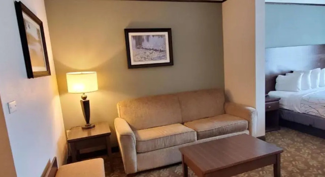 Номер Standard Best Western Plus Emory at Lake Fork Inn & Suites