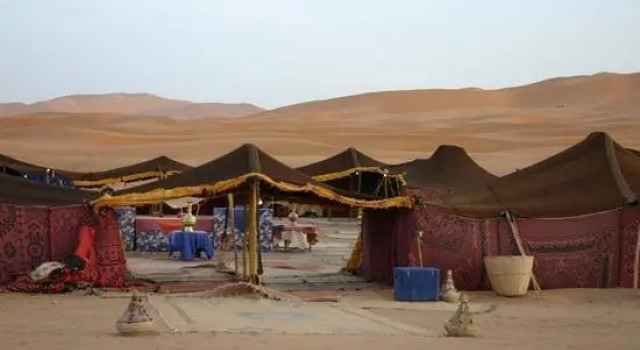 Dromadaire travels